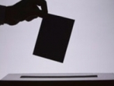 Грузинские республиканцы опробуют электронные выборы. 24188.jpeg