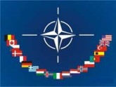 Эксперт: НАТО видит и ценит последние успехи Грузии. 24328.jpeg