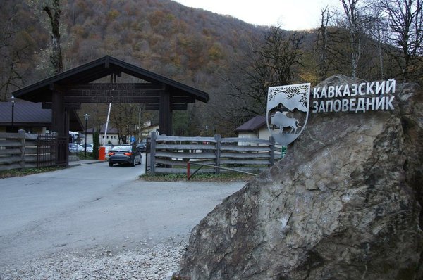 Уникальный Кавказский государственный заповедник. 22259.jpeg Уникальный Кавказский государственный заповедник. 22259.jpeg
