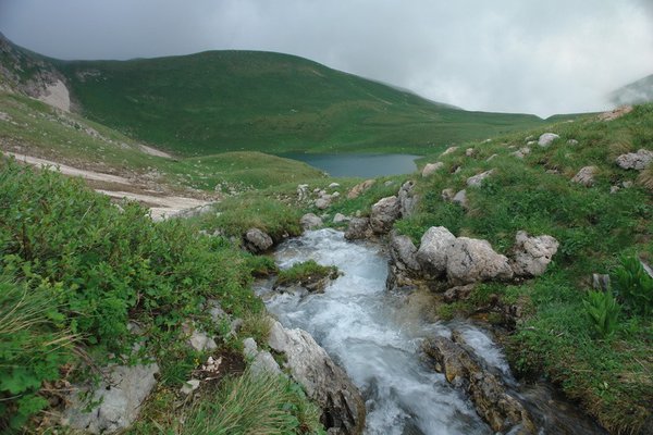 Уникальный Кавказский государственный заповедник. 22259.jpeg22260.jpeg Уникальный Кавказский государственный заповедник. 22260.jpeg