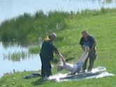 В реке в Тбилиси обнаружили тело утонувшего мужчины. 17851.jpeg