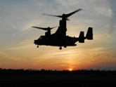 НАТО уничтожило два ливийских правительственных вертолета. 