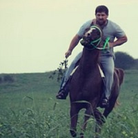 Кадыров на пределе лошадиных сил. 21881.jpeg