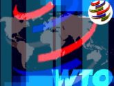 Эксперт: Результат Грузии на переговорах по ВТО – оптимальный. 24044.jpeg