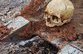 В Геленджике тревожат древние кости