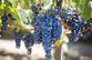 Власти Грузии выделят на сбор винограда до $20 млн