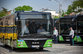Шесть городов Грузии получат 175 новых автобусов