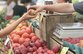 Россельхознадзор не будет запрещать импорт грузинских овощей и фруктов﻿