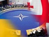 Аласания: Грузия отдалилась от НАТО. 25569.jpeg