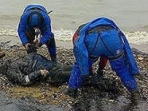 В Тбилиси обнаружен труп 51-летнего мужчины. 25707.jpeg В Тбилиси обнаружен труп 51-летнего мужчины. 25707.jpeg