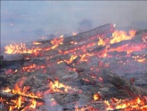 На территории курорта "Ахтала" вспыхнул пожар. 20312.jpeg