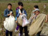 Омбудсмен: В Азербайджане не используют детский труд. 24515.jpeg