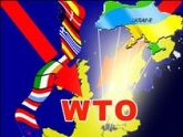 Манджгаладзе: Вступление России в ВТО ее ко многому обяжет. 24740.jpeg