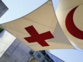 Глава миссии Международного Комитета Красного Креста посетила Сухум. 23871.jpeg Глава миссии Международного Комитета Красного Креста посетила Сухум. 23871.jpeg