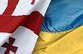 Мишико поделится ложью с Украиной