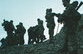 Боевики Чечни наперечет