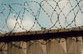 Расправа с инакомыслящими по-грузински