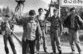 Грузино-абхазская война: армяне против армян