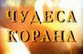Сын муфтия попался на  Чудесах Корана 