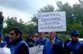 Диета против капитализма по-грузински