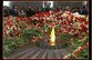 Сколько Франция заплатит за геноцид