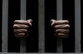 Грузия в предварительном заключении