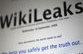 Сливы  WikiLeaks на радость Грузии