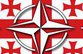 НАТО перетягивает Тбилиси