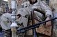 Сирийский конфликт угрожает России