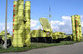 Паранойя