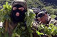 Боевики в Панкиси – реальность или провокация с душком?