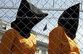 Лучше всего в Грузии живется узникам…. Из Гуантанамо