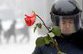 Грузия забыла  розовое  прошлое