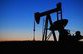 Австрийская компания приступит к поиску нефти на шельфе Грузии