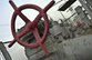 Грузия пустит газ с молотка