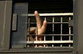 Оппозиция требует отпустить политзаключенных