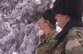 Казаки на страже елок