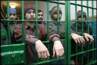 Чиновник - лучшая защита от мигранта?